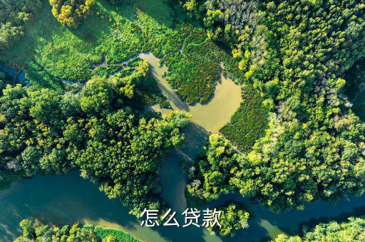 怎么借貸,小曼app-優(yōu)花花貸利率低、放款快、安全等特點