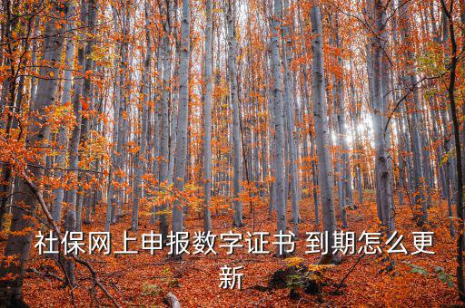 龍灣社保登記證到期怎么更換,社?？ㄟ^期怎么辦?可以這樣做!