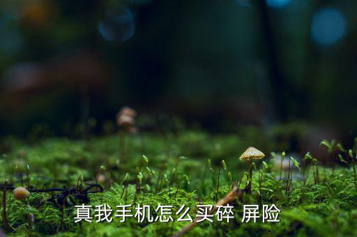 國(guó)美碎屏險(xiǎn)怎么買,手機(jī)壞了屏險(xiǎn)如何買?