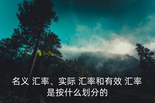名義 匯率、實(shí)際 匯率和有效 匯率是按什么劃分的