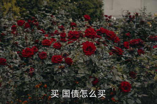 買(mǎi) 國(guó)債怎么買(mǎi)