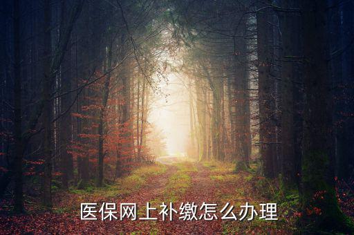怎么補交醫(yī)保,因個人原因斷了社保可申請公司為自己繳納費用