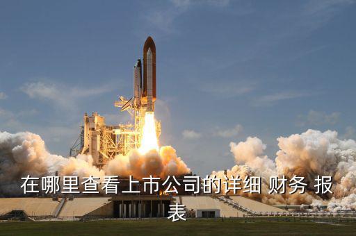 在哪里查看上市公司的詳細 財務 報表