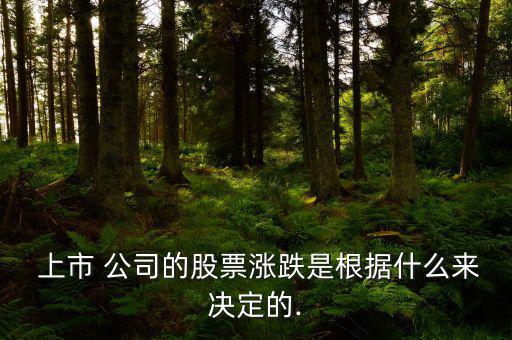 上市公司股價(jià)怎么定,新股上市首日開(kāi)盤價(jià)上漲20%