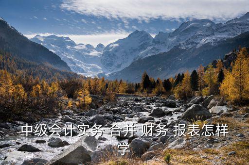 合并財務(wù)報表怎么學(xué),合并資產(chǎn)負(fù)債表格式增四個項目