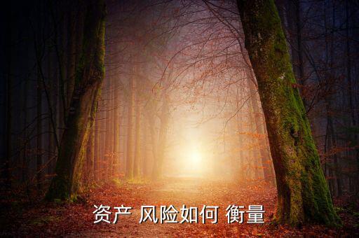 資產(chǎn) 風險如何 衡量