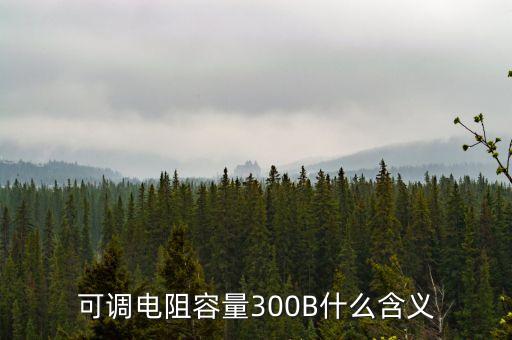 300高貝b是什么，圖片所指的300DPI是什么意思