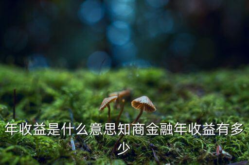 資金占用年收益是什么意思，利息支出中有個(gè)資金占用費(fèi)這個(gè)是什么意思