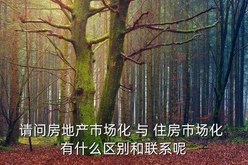 什么是房地產(chǎn)市場(chǎng)化，房地產(chǎn)市場(chǎng)分化甚么意思