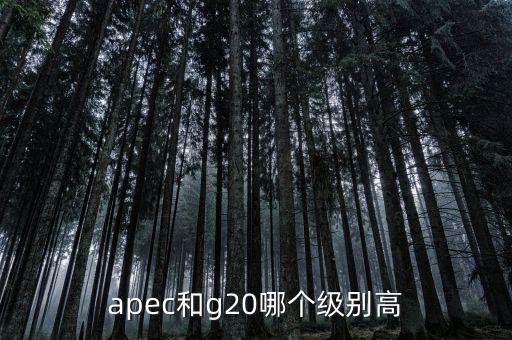 國際貿(mào)易額由什么組成，國際貿(mào)易額和對(duì)外貿(mào)易額兩者的區(qū)別
