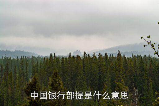 銀行部提什么意思，中國銀行部提是什么意思