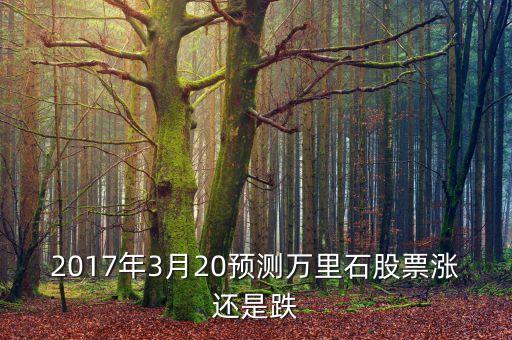 2017年3月20預(yù)測萬里石股票漲還是跌