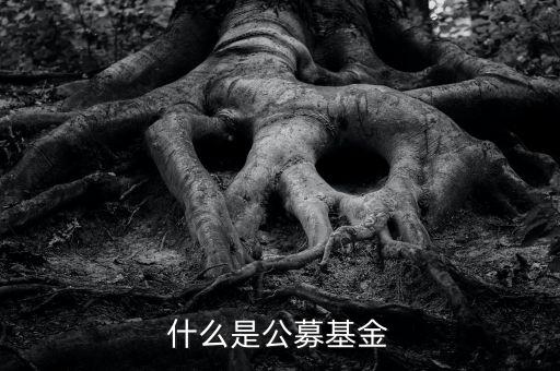 什么是公募基金，基金入門什么是公募基金