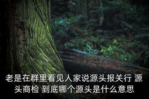 老是在群里看見人家說源頭報(bào)關(guān)行 源頭商檢 到底哪個(gè)源頭是什么意思