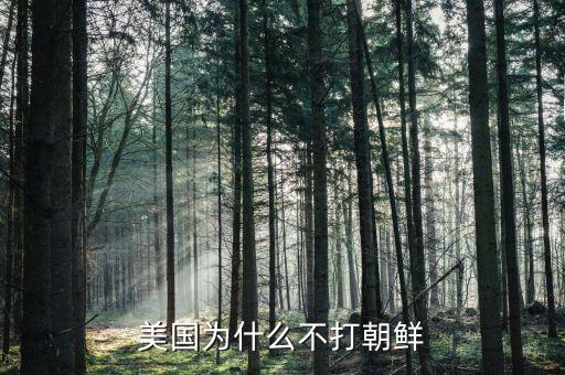 美國(guó)為什么不打朝鮮