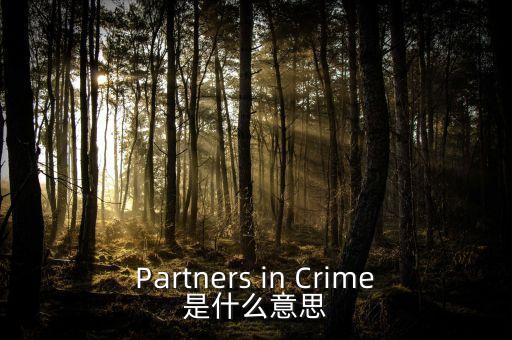 人工角膜是什么，Partners in Crime是什么意思