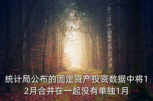 固定資產(chǎn)投資為什么沒有1月份數(shù)據(jù)怎么處理，上月購進(jìn)一固定資產(chǎn)月初建賬時(shí)期初數(shù)據(jù)沒有將該固定資產(chǎn)錄入