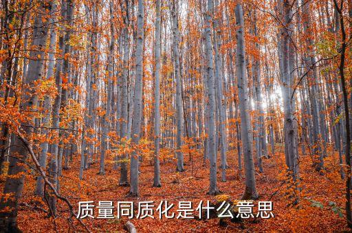 什么是鋼貿(mào)行業(yè)的同質(zhì)化，市場(chǎng)同質(zhì)化