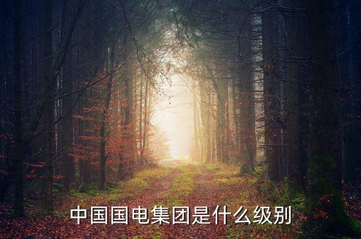 中國國電集團(tuán)是什么級別