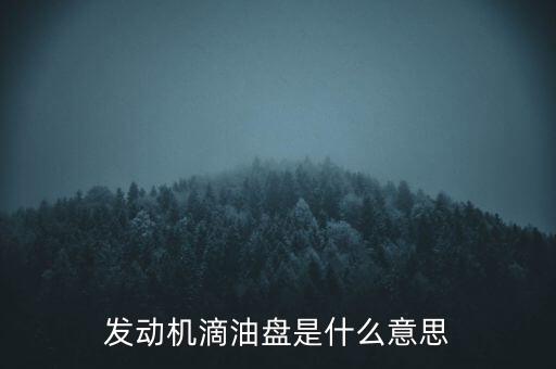 發(fā)動(dòng)機(jī)滴油盤是什么意思