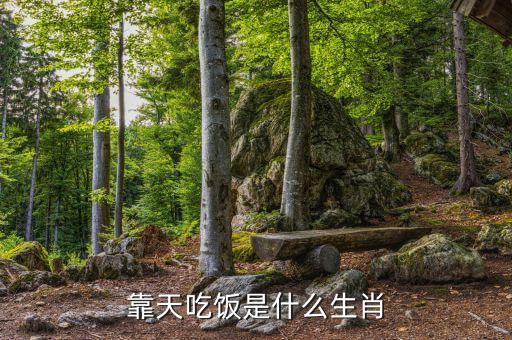 什么是靠天吃飯，靠天吃飯是什么生肖