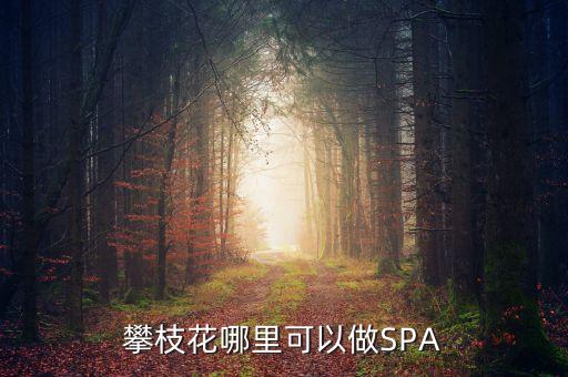 雅化集團攀枝花恒泰做什么的，攀枝花哪里可以做SPA