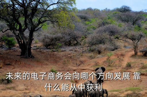 未來電商什么會掙錢，未來的電子商務會向哪個方向發(fā)展 靠什么能從中獲利
