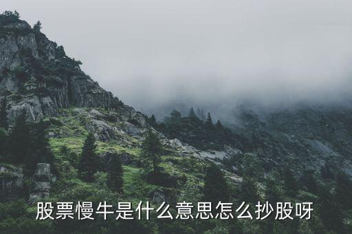 慢牛走勢是什么意思，股票慢牛是什么意思怎么抄股呀