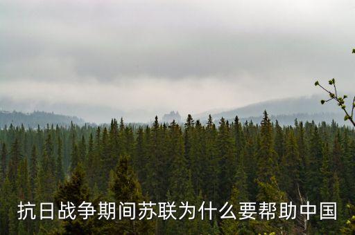 蘇聯(lián)幫助中國什么，蘇聯(lián)給中國提供了什么援助