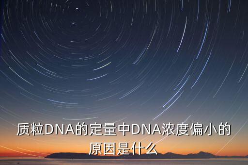 質粒DNA的定量中DNA濃度偏小的原因是什么