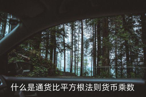 貨幣乘數(shù)是什么意思，貨幣乘數(shù)是什么書里的
