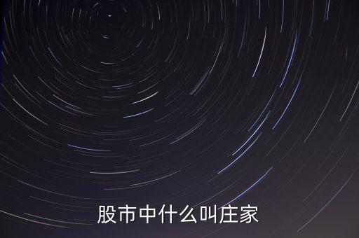 什么莊家股票，股票的莊家是指