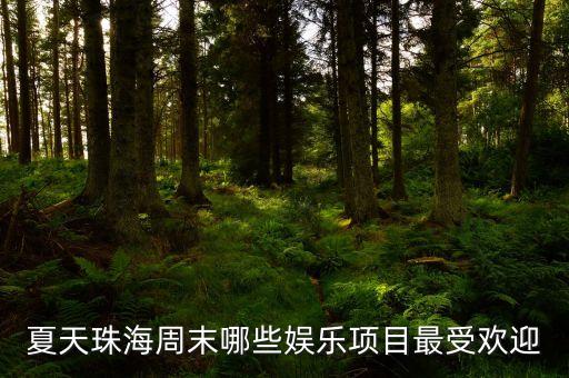 珠海巨濤有什么項(xiàng)目，珠海巨濤在哪里