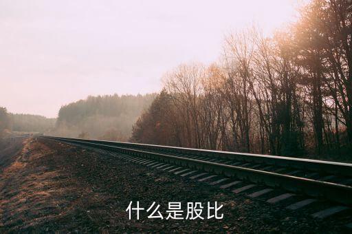 股比是什么意思，什么是股比