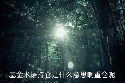 etf持倉是什么意思，基金術(shù)語持倉是什么意思啊重倉呢