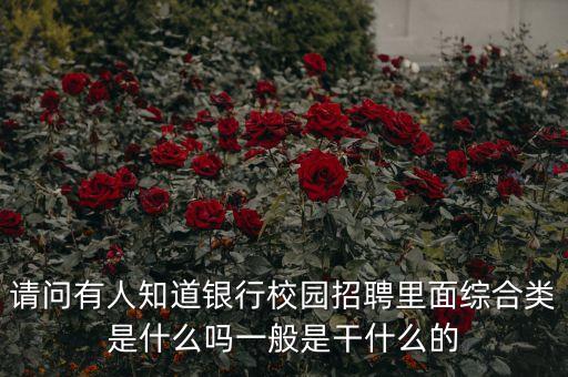 建設(shè)銀行綜合營(yíng)銷(xiāo)類崗位是什么，建設(shè)銀行校園招聘崗位小語(yǔ)種專項(xiàng)人才 綜合營(yíng)銷(xiāo)類崗位 業(yè)務(wù)支持類崗