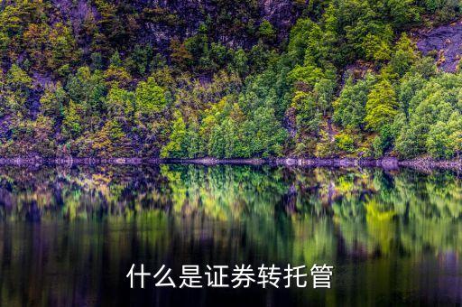 什么是證券轉(zhuǎn)托管