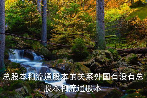 什么是總股本，股票流通市值流通總市值實(shí)際流通總股本限售市值是什么意思