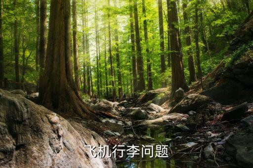 航空公司可以拒載什么傷人，憑什么飛機(jī)可以拒載