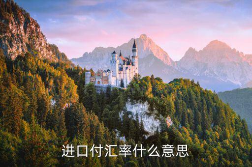 進(jìn)口付匯是什么意思，進(jìn)口付匯是什么