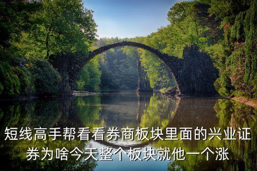 短線高手幫看看券商板塊里面的興業(yè)證券為啥今天整個板塊就他一個漲