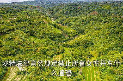為什么沙特女人不能開車，全球唯一禁止女司機開車的是哪個國家