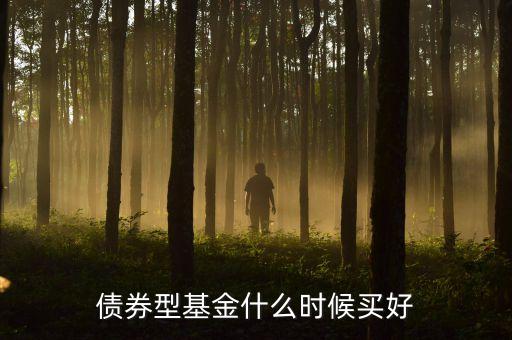 什么時候買債券基金好，債券基金什么時候買入最好