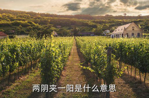 股票兩陰一陽又兩陰什么走勢(shì)，股市技術(shù)圖形兩陰一陽又兩陰后市怎樣