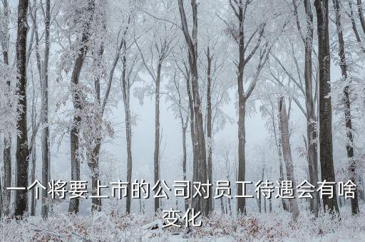 一個(gè)將要上市的公司對員工待遇會有啥變化