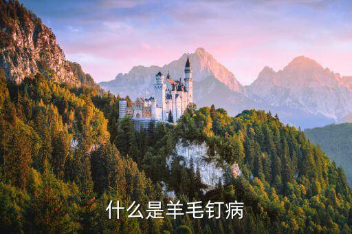 羊毛丁是什么病，什么是羊毛釘病
