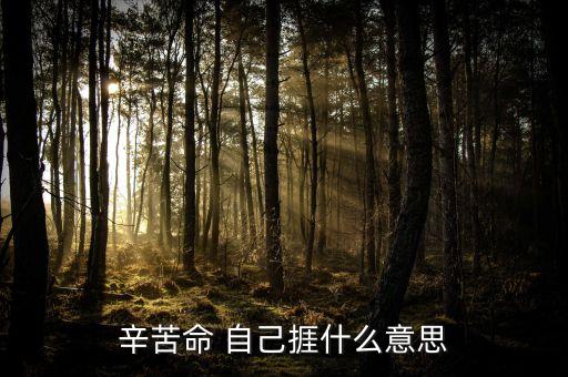 苦捱是什么意思，請(qǐng)問苦啷是什么意思