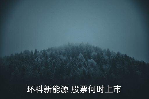 新能源股票什么時候上市呢，環(huán)科新能源 股票何時上市