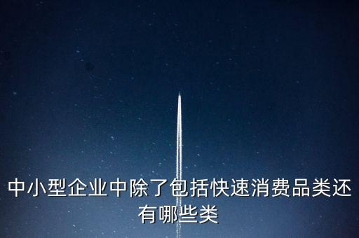除了小微企業(yè)還有什么企業(yè)，中小型企業(yè)中除了包括快速消費(fèi)品類還有哪些類