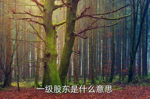 二級股東是什么意思，兩級股權(quán)結(jié)構(gòu)